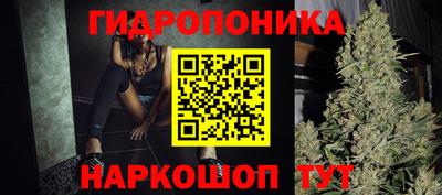PSILOCYBIN Балахна