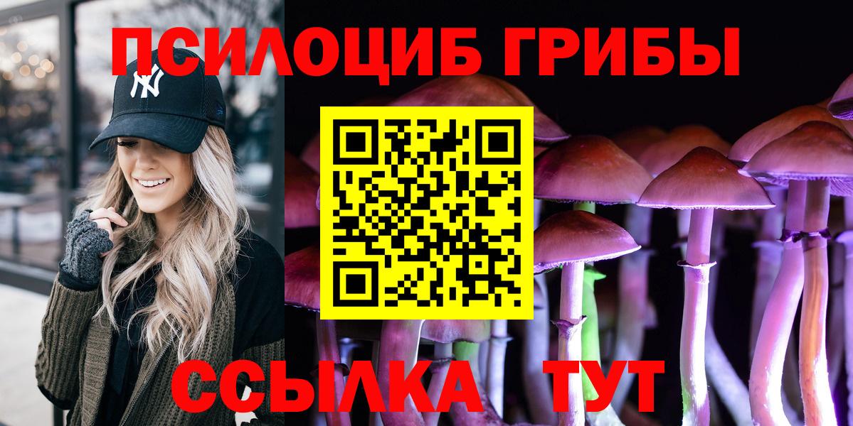 Галлюциногенные грибы Psilocybe Грязи