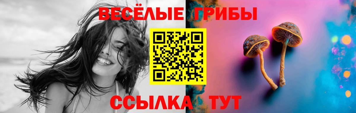 Грязи  Галлюциногенные грибы Psilocybe  даркнет сайт  Вход с VPN 
